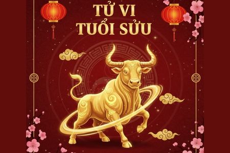Tử Vi Tuổi Sửu: Khám Phá Vận Mệnh, Sự Nghiệp Và Gia Đạo