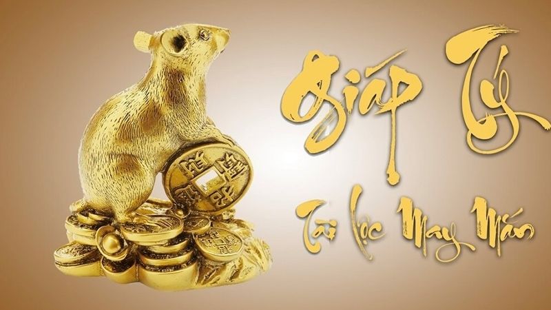 Bí quyết gia tăng vận may cho tuổi Tý