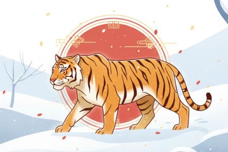 Luận Giải Chi Tiết Các Phương Diện Đời Người