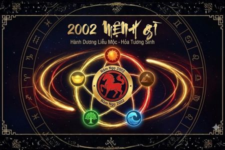 Sinh Năm 2002 Mệnh Gì? Tử Vi Trọn Đời Tuổi Nhâm Ngọ Chính Xác Nhất 2026