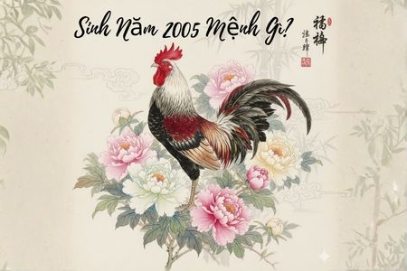 Sinh Năm 2005 Mệnh Gì? Giải Mã Tử Vi, Phong Thủy Tuổi Ất Dậu 2026
