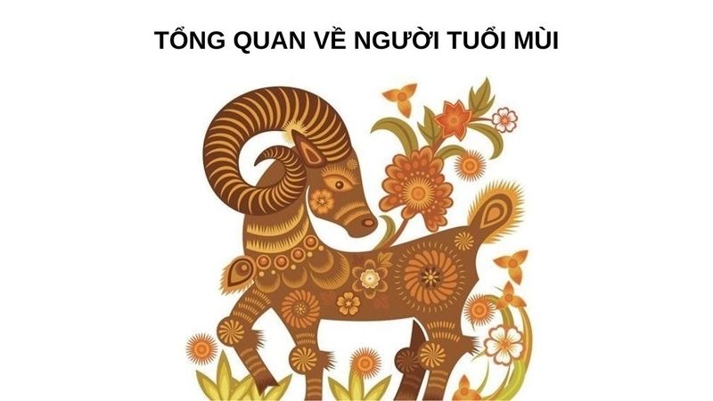 Tổng quan về người tuổi Mùi