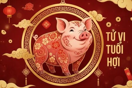 Tử Vi Tuổi Hợi: Giải Mã Vận Mệnh, Sự Nghiệp Và Gia Đạo Chi Tiết