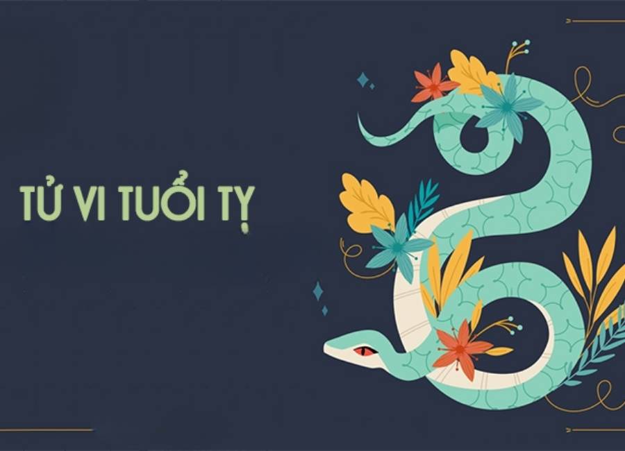 Tử Vi Tuổi Tỵ: Giải Mã Vận Mệnh, Sự Nghiệp Và Hậu Vận