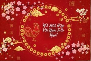Nữ 2005 Hợp Với Nam Tuổi Nào? Cẩm Nang Chọn Chồng Để Hôn Nhân Viên Mãn