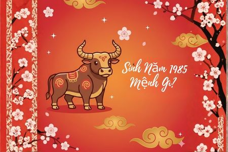 Sinh Năm 1985 Mệnh Gì? Tổng Quan Tử Vi Và Phong Thủy Tuổi Ất Sửu