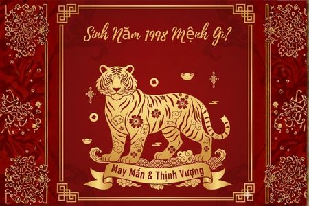 Sinh Năm 1998 Mệnh Gì? Tổng Hợp Tử Vi Phong Thủy Tuổi Mậu Dần Từ A-Z