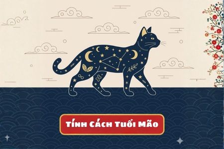 Tính Cách Tuổi Mão: Tinh Tế, Nhạy Bén & Bản Lĩnh Thành Công 2026