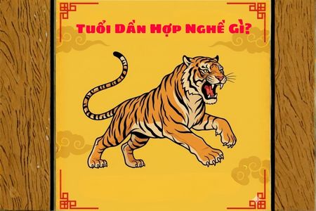 Tuổi Dần Hợp Nghề Gì? Định Hướng Sự Nghiệp Bứt Phá 2026