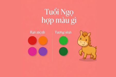 Tuổi Ngọ hợp màu gì năm 2026? Bí mật màu sắc giúp kích tài lộc và may mắn