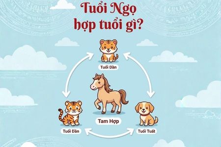 Tuổi Ngọ hợp tuổi gì? Xem tuổi hợp làm ăn và kết hôn