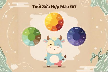 Tuổi Sửu Hợp Màu Gì? Bí Mật Màu Sắc Mang Lại May Mắn Và Tài Lộc 2026