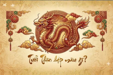 Tuổi Thìn hợp màu gì? Giải mã màu sắc tăng may mắn và tài lộc 2026
