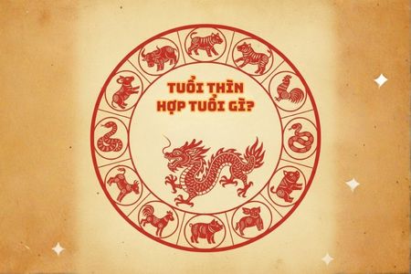 Tuổi Thìn hợp tuổi gì? Bí quyết chọn tuổi làm ăn và kết hôn để đại cát đại lợi