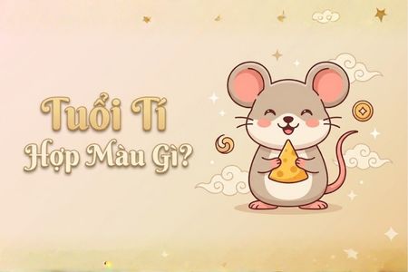 Tuổi Tý Hợp Màu Gì? Bí Kíp Chọn Màu Sắc Kích Tài Lộc Và May Mắn 2026