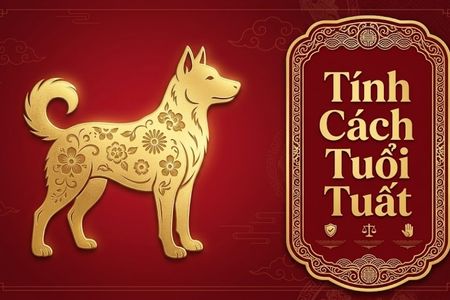 Giải mã tính cách tuổi Tuất: Chìa khóa vàng dẫn lối thành công và sự nghiệp