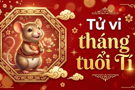 Tử vi tháng tuổi Tí: Luận giải chi tiết vận trình 12 tháng âm lịch