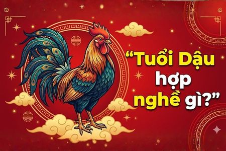 Tuổi Dậu hợp nghề gì? Bí mật chọn công việc để sự nghiệp thăng hoa 2026