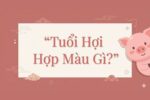 Tuổi Hợi Hợp Màu Gì? Bí Kíp Chọn Màu Kích Tài Lộc, Gieo May Mắn 2026