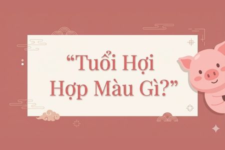 Tuổi Hợi Hợp Màu Gì? Bí Kíp Chọn Màu Kích Tài Lộc, Gieo May Mắn 2026