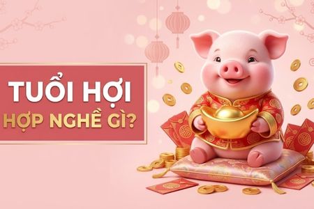 Tuổi Hợi Hợp Nghề Gì? Khám Phá Công Việc Dễ Phát Triển Lâu Dài Và Thành Công Nhất