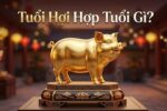 Tuổi Hợi Hợp Tuổi Gì? Xem Tuổi Kết Hôn, Làm Ăn Đại Cát
