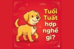 Tuổi Tuất hợp nghề gì? Top công việc dễ thành công nhất 2026