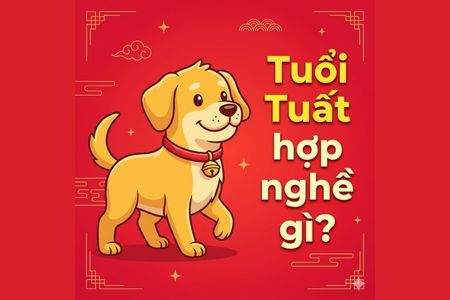 Tuổi Tuất hợp nghề gì? Top công việc dễ thành công nhất 2026