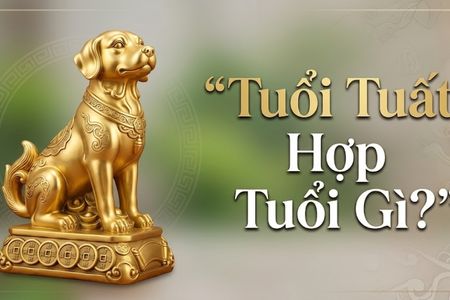 Tuổi Tuất Hợp Tuổi Gì? Bí Quyết Chọn Người Hợp Tác Làm Ăn Và Kết Hôn