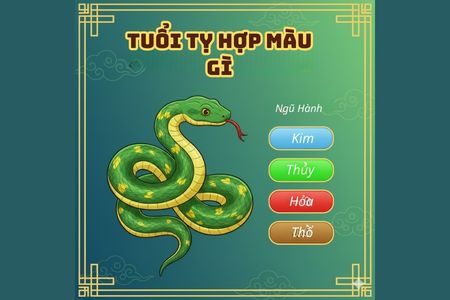 Tuổi Tỵ hợp màu gì năm 2026? Bí mật phong thủy giúp chiêu tài kích lộc