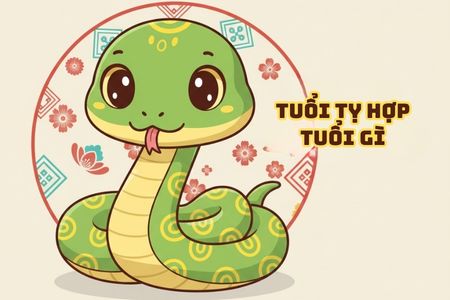 Tuổi Tỵ hợp tuổi gì để sự nghiệp hanh thông, hôn nhân viên mãn?