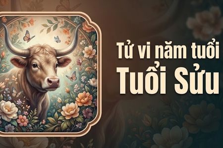 Tử vi năm tuổi Sửu: Vận trình biến động và Bí quyết xoay chuyển cục diện