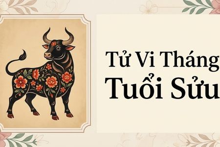 Tử Vi Tháng Tuổi Sửu: Giải Mã Chi Tiết Vận Trình Tháng Âm Lịch